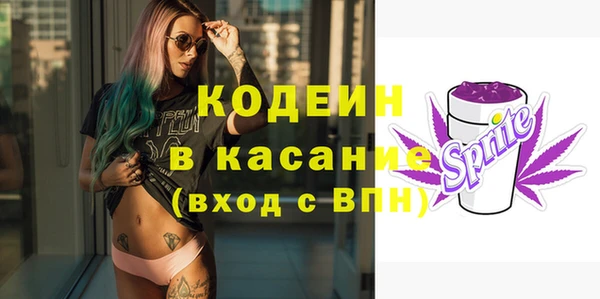 мдпв Осташков
