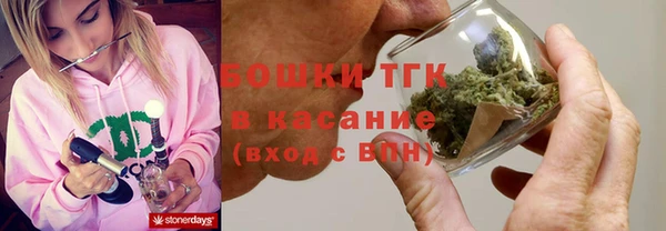 мдпв Осташков