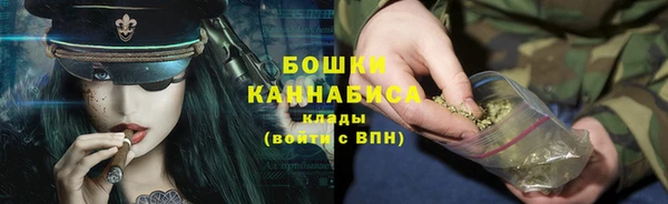 мдпв Осташков