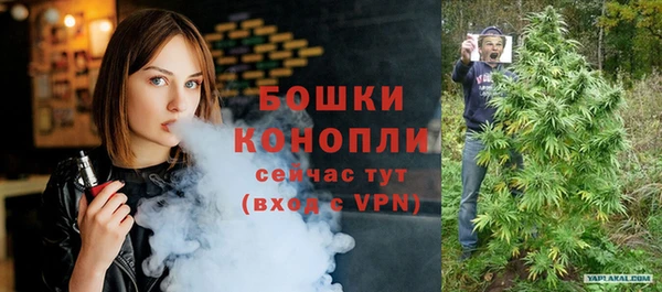 ALPHA PVP Осинники