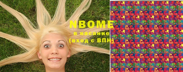 мдпв Осташков