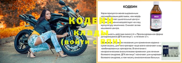 мдпв Осташков