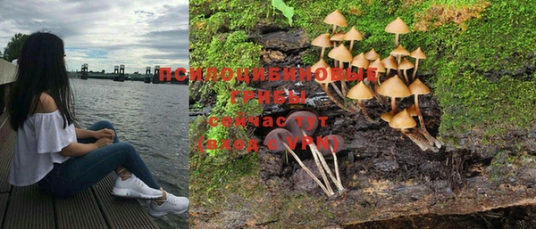 ALPHA PVP Осинники