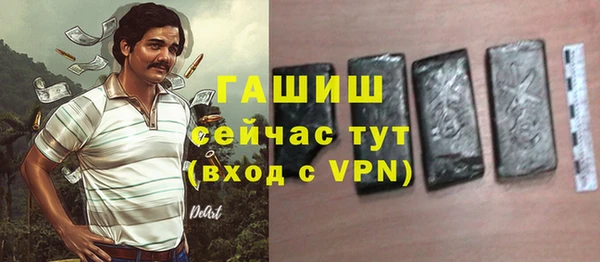 мдпв Осташков