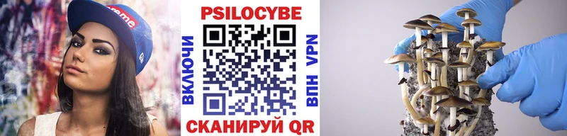 Псилоцибиновые грибы мухоморы  где продают наркотики  Починок 